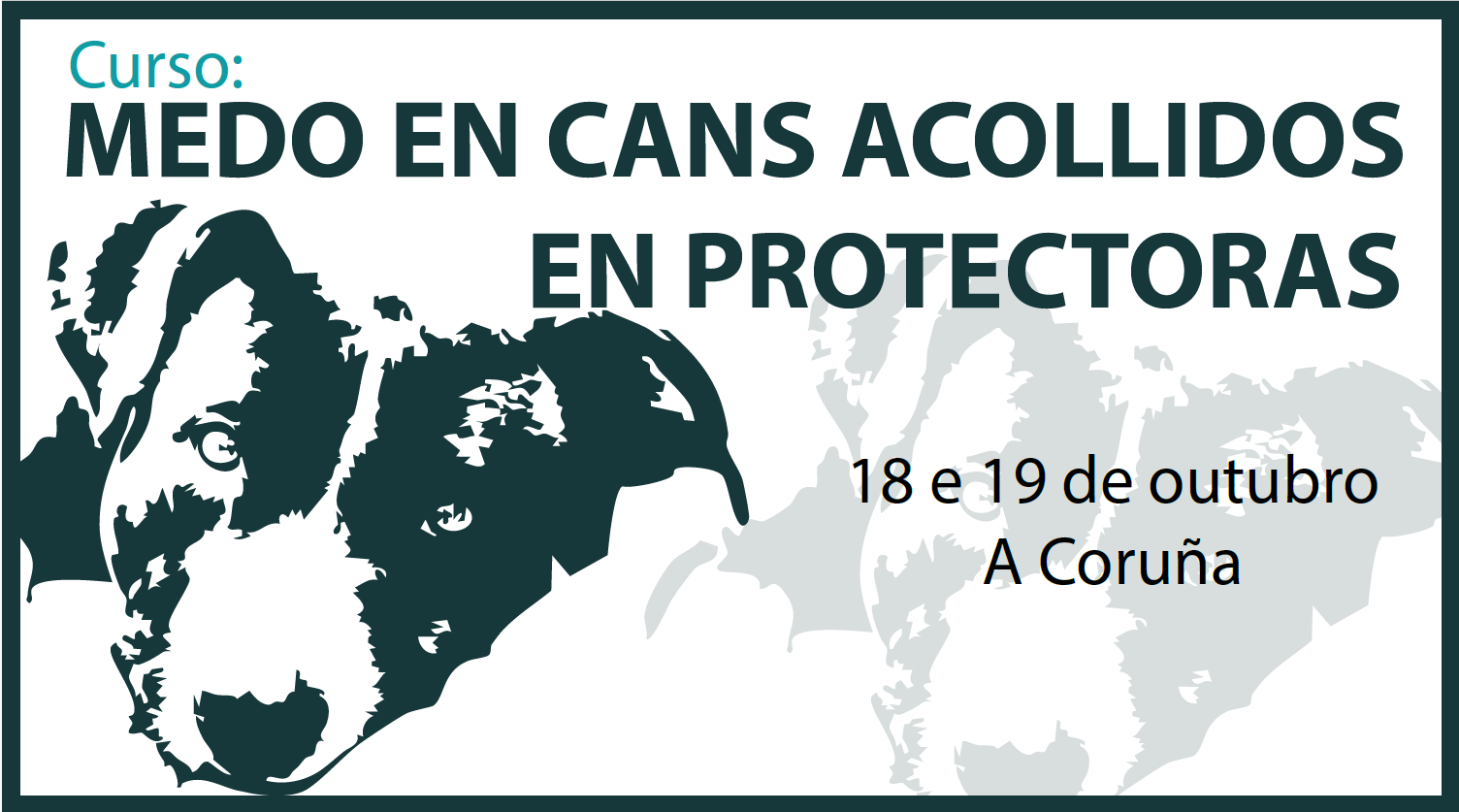 Banner do curso Banner do curso