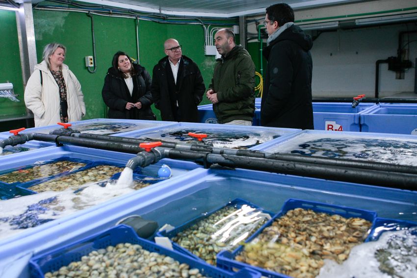 Turismo da Deputación colaborará coa Confraría de Barallobre na promoción da súa vieira