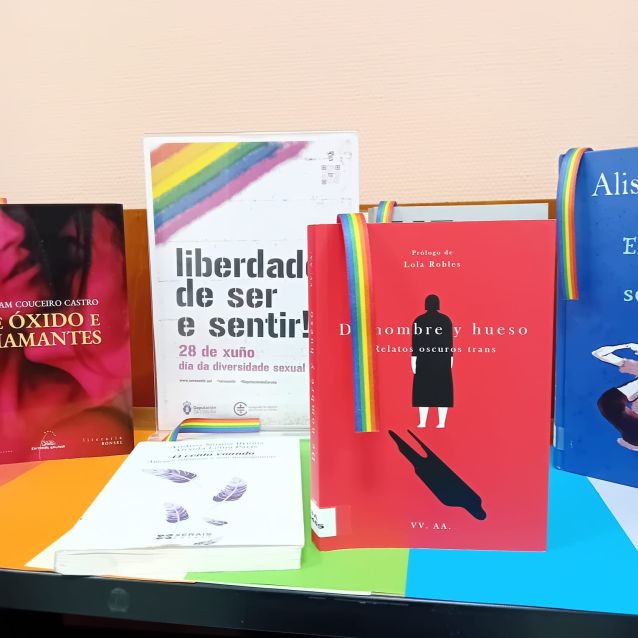 28X, Día da diversidade sexual
