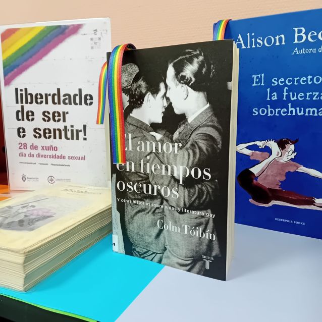 28X, Día da diversidade sexual
