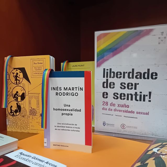 28X, Día da diversidade sexual