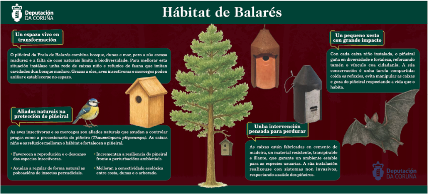 Rede de caixas refuxio para a conservación da fauna: Pazo de Mariñán e Piñeiral de Balarés