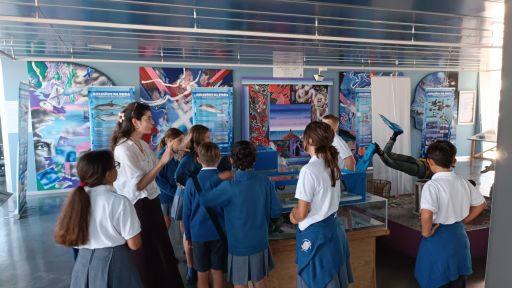 Alumnos/as do colexio Nosa Señora do Carme de Fisterra asisten a unha visita guiada á exposición Golfiños na Proa