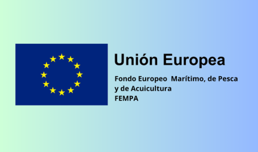 Accións formativas do sector pesqueiro - DATA LÍMITE: 20/10/2026