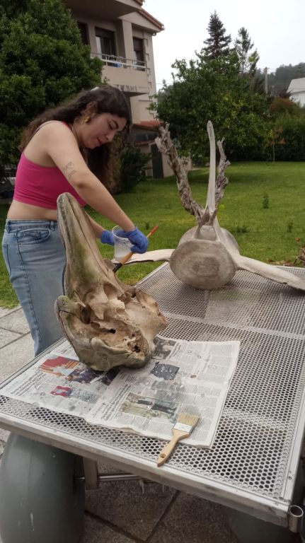 A exposición, Golfiños na proa, inaugúrase o mércores, 10 de setembro en Fisterra.