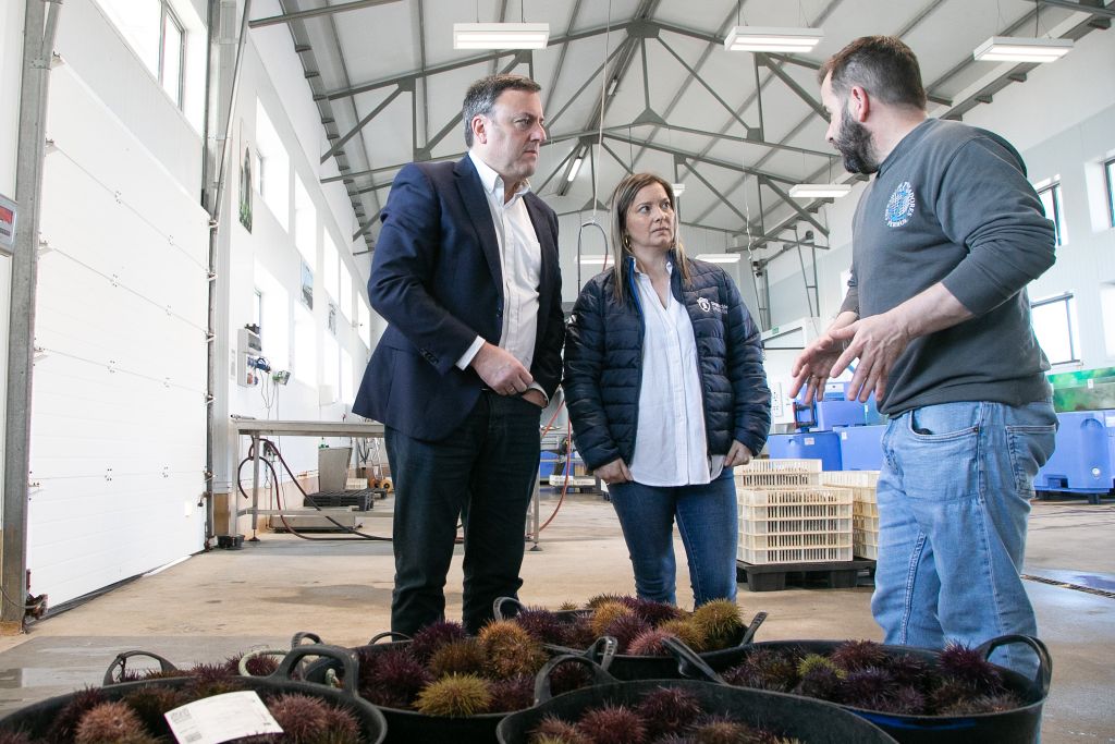 A Deputación da Coruña concede máis de 538.000 euros en axudas a 36 confrarías e agrupacións de mariscadoras para impulsar o sector do mar na provincia