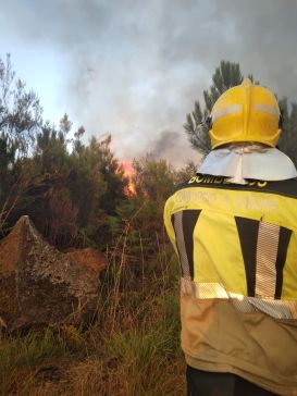O Consorcio Provincial Contraincendios da Coruña mobiliza os seus bombeiros para apoiar os labores de extinción dos incendios en Ourense
