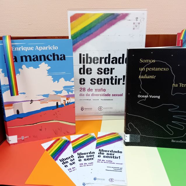 28X, Día da diversidade sexual